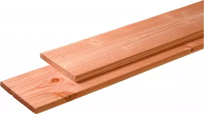 Woodvision douglas plank geschaafd 2.8x24.5x400 cm geïmpregneerd - afbeelding 1
