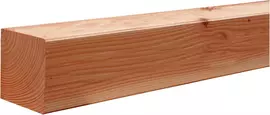 Woodvision douglas vierkante paal geschaafd 8.5x8.5x400 cm onbehandeld - afbeelding 1