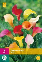 Zantedeschia mix 3 stuks - afbeelding 1