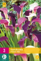 Zantedeschia pastel mix 3st - afbeelding 1